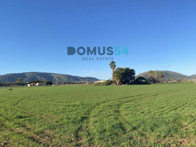 Foto dbbdf556-9b65-4e08-b58f-c33f1018c369. Finca rústica a Sa Pobla
