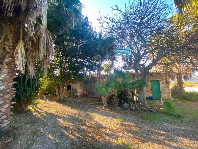 Foto eba4644e-258e-4d14-be3e-36fb11181361. Finca rústica a Sa Pobla