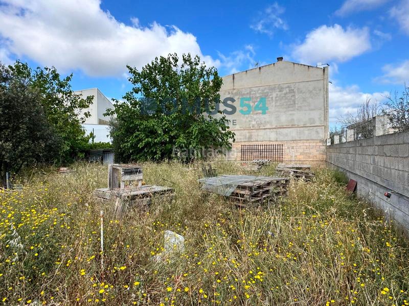 Foto 04c55ae7-8f00-4857-861d-7649396e3378. Landgut in Sa Pobla