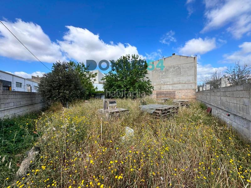 Foto 357cf0b1-5c6d-4749-8808-3393c881fa63. Landgut in Sa Pobla