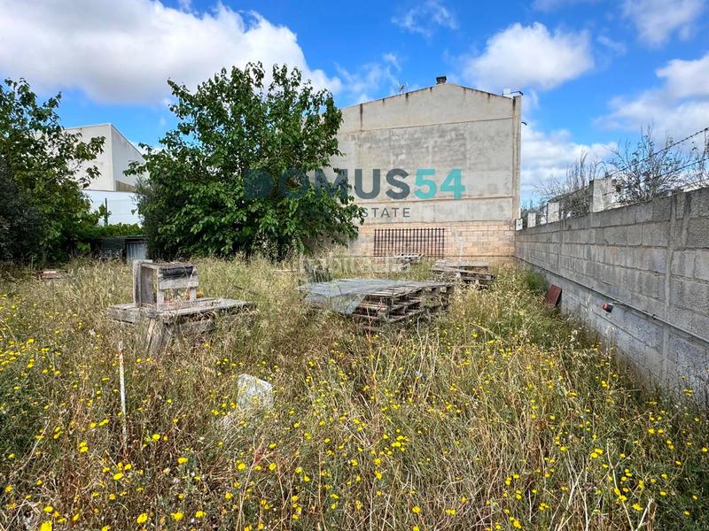 Foto a490de9b-8e52-4749-9341-888f953436e9. Landgut in Sa Pobla