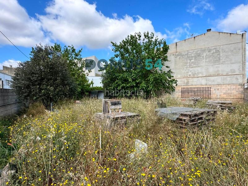 Foto f24cfd56-2c30-4eae-8423-84814796d1d0. Landgut in Sa Pobla