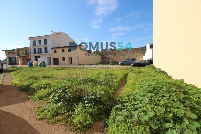 Foto cb71cebe-9361-4f56-8326-cf8e2c8ae04e. Fondo rustico in Sa Pobla