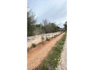 Rural plot in Lloseta. Parcela rústica ideal fines de semana!!!