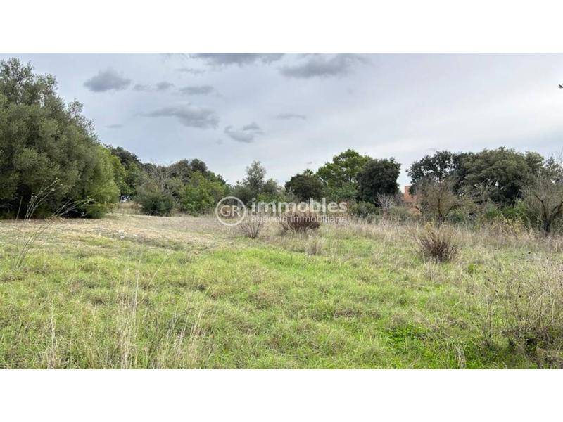 Foto 29cbce96-6d99-4855-9ac9-b2e4bc687761. Finca rústica parcela rústica ideal fines de semana!!! en Lloseta
