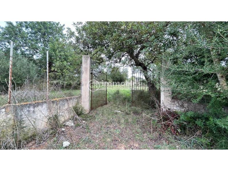 Foto a635e206-70b6-4681-9b80-899d43f9bc58. Finca rústica parcela rústica ideal fines de semana!!! en Lloseta