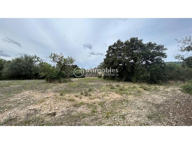 Foto b58d2cfe-3648-4a4c-a258-e6171bba7a4d. Finca rústica parcela rústica ideal fines de semana!!! en Lloseta