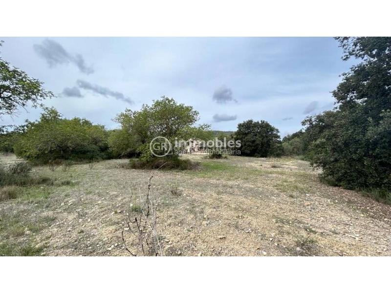 Foto eecea361-77f7-4233-b55e-7011914f2646. Finca rústica parcela rústica ideal fines de semana!!! en Lloseta
