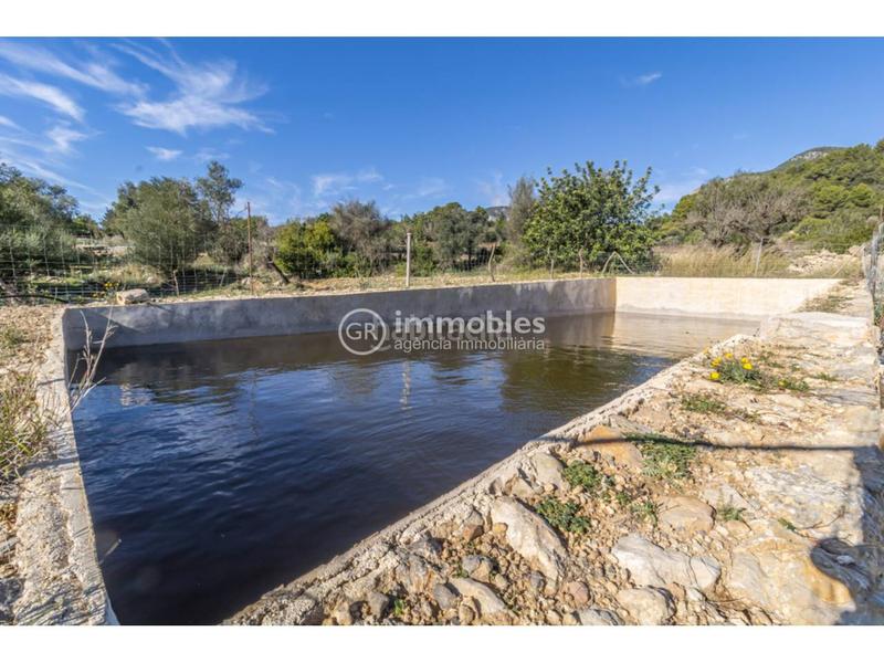 Foto 042ea8b7-985d-45a0-8382-33ed95646901. Fondo rustico in Alaró