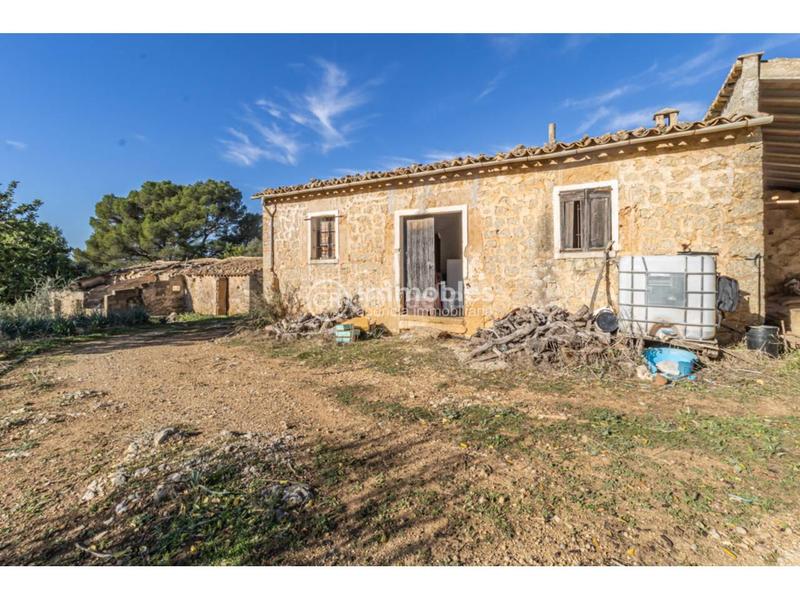 Foto 35015abf-d28d-4e96-8a33-1061fff49cc3. Fondo rustico in Alaró