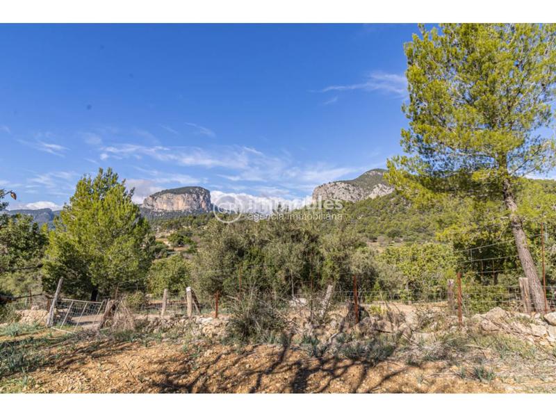 Foto 4f3c7275-5ac6-45f1-8751-8f0f220bfcfd. Fondo rustico in Alaró