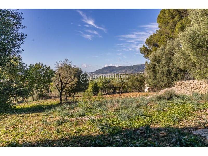 Foto b342c9d8-4848-4214-afd3-08eb53a9068d. Fondo rustico in Alaró