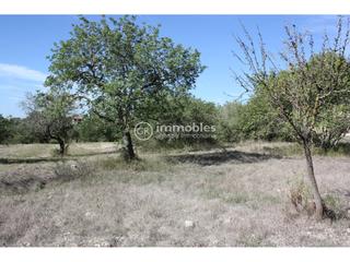 Rural plot in Lloseta. Parcela rustica ideal siembra