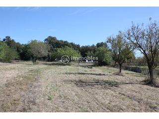 Finca rústica a Lloseta. Parcela rustica ideal siembra