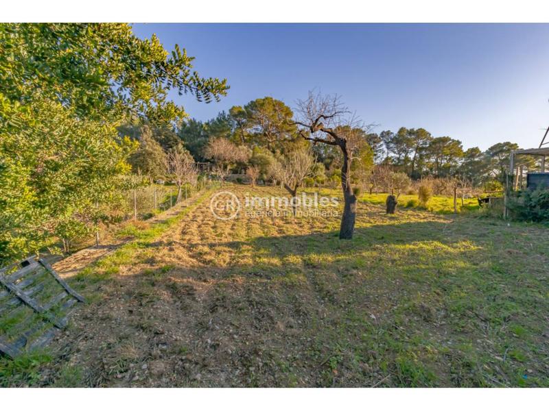 Foto 24369553-2fd9-447f-979c-21b189dea875. Casa amb aparcament a Alaró