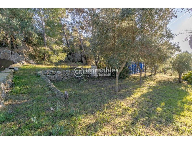 Foto ac23e85b-dc8a-4634-b126-0c6c0c55dc75. Casa amb aparcament a Alaró