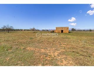 Rural plot in Sineu. Terreno  rústico edificable en sineu