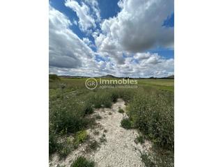 Rural plot in Sineu. Terreno en venta en sineu