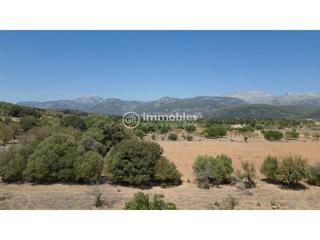 Finca rústica a Campanet. Terreno edificable  con proyecto y licencia en campanet