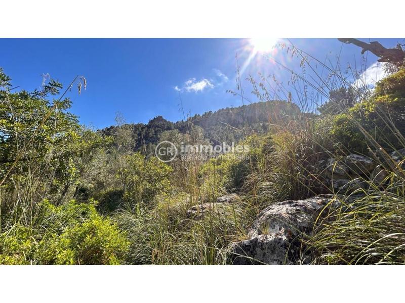 Foto 26a527b5-15df-4eb8-a623-5623f03b3e23. Masia a Alaró