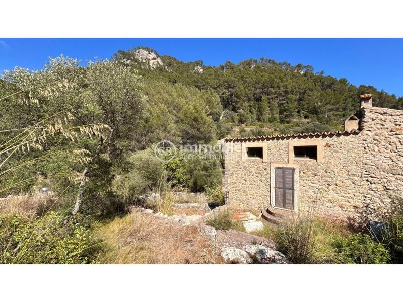 Foto 2c552cb8-b7ee-47cf-8d02-7d73c8bbba63. Masia a Alaró