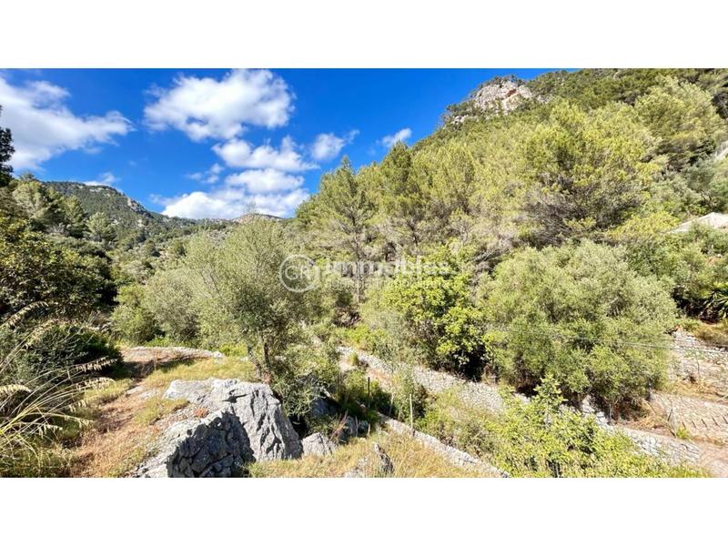 Foto 2ea15898-23eb-4941-83d0-a9d36bb3ff00. Masia a Alaró