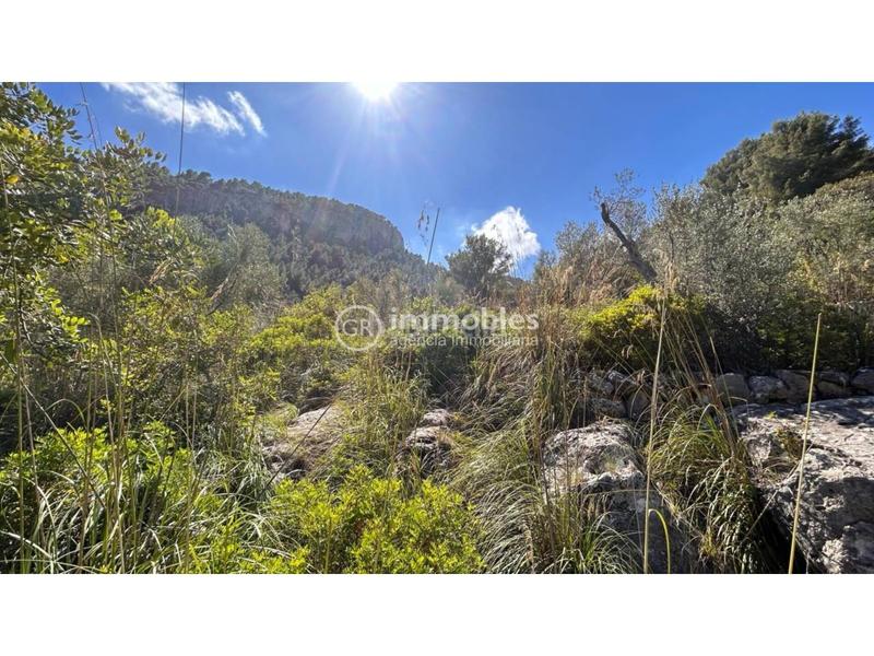 Foto 526be67d-b843-49ab-825c-fdc515246ab6. Masia a Alaró