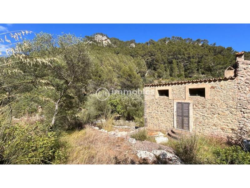 Foto 5cb7330a-c27a-4e59-9b54-844ac5ddd965. Masia a Alaró