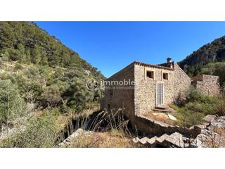 Masia a Alaró. Finca rústica con casa en alaró