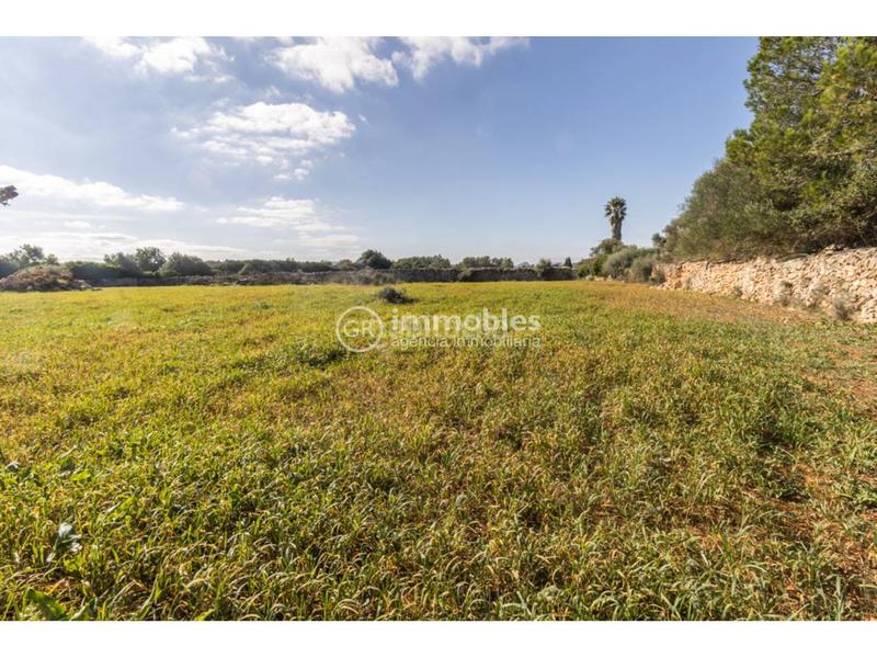 Foto 033c98e6-eacf-4f46-8785-fd0c2ca908a4. Terrain résidentiel dans Santa Margalida poble Santa Margalida