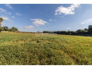 Residential Plot in Santa Margalida Poble. Terreno para edificar en santa margarita
