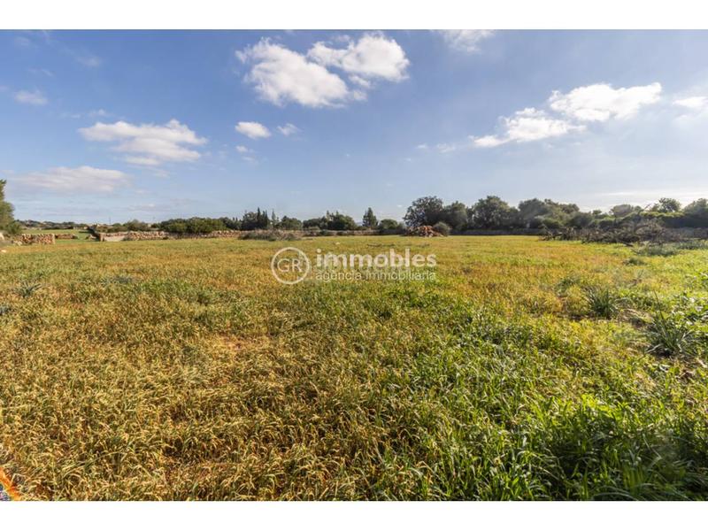 Foto 60f9b5ff-c557-4501-89a1-2ee576297797. Terrain résidentiel dans Santa Margalida poble Santa Margalida