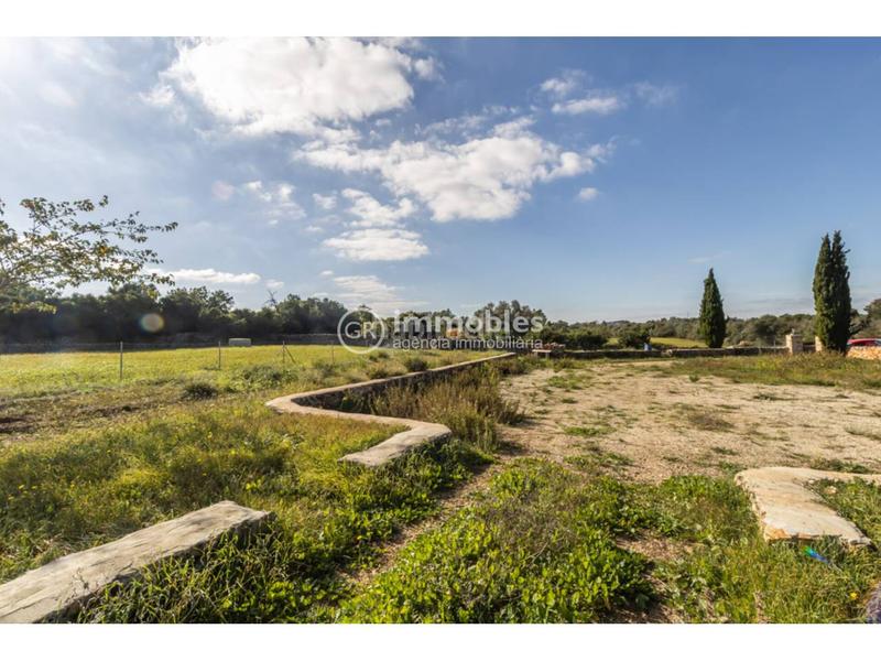 Foto 76ed50ed-26dd-4ffb-9dc5-d6b7432cafc2. Terrain résidentiel dans Santa Margalida poble Santa Margalida