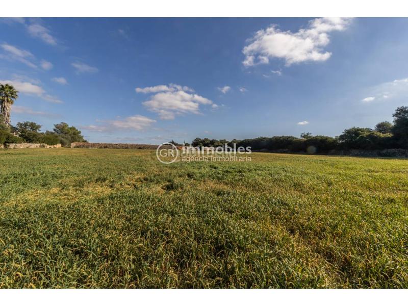 Foto 7bc97e7b-fe62-4bbd-a7bf-c05a02717819. Terrain résidentiel dans Santa Margalida poble Santa Margalida