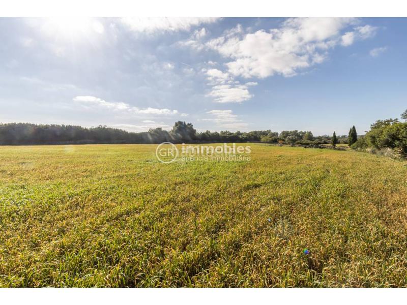 Foto f14b3d66-33d0-49f2-846e-53b7cf80361f. Terrain résidentiel dans Santa Margalida poble Santa Margalida