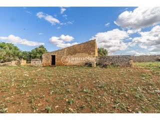 Maison  4. Gran terreno rustico en ariany!!!!
