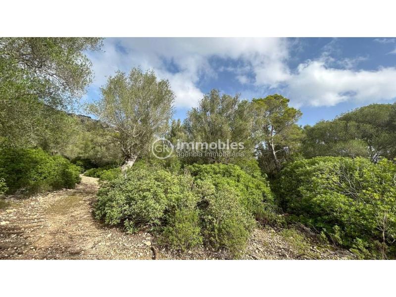 Foto 09dab193-5729-457b-a724-54d352c3fcde. Terreny residencial a ciutat d´Alcúdia Alcúdia