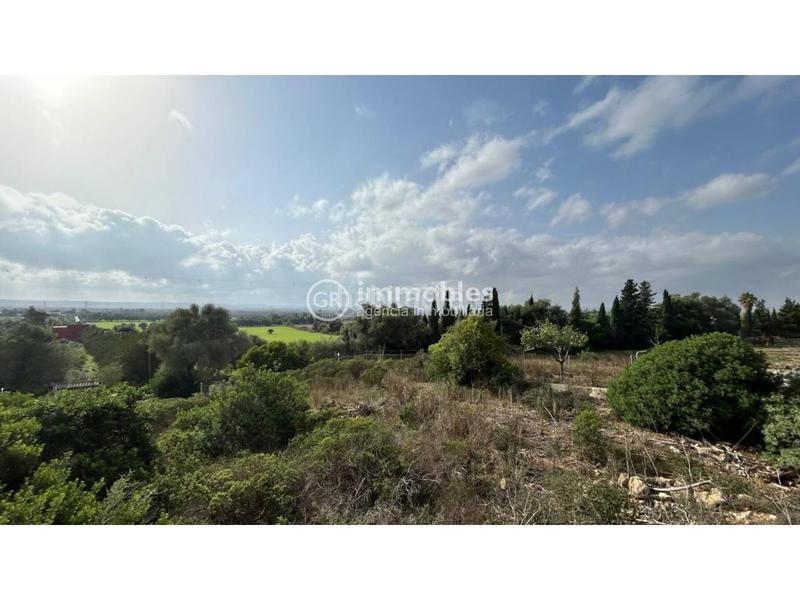 Foto 92644224-4926-4738-a374-1e708a43d4f4. Terreny residencial a ciutat d´Alcúdia Alcúdia