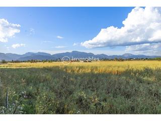 Residential Plot  Major. Venta de tres solares edificables