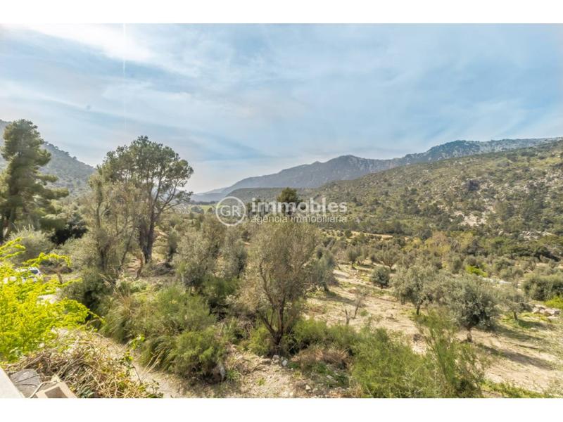 Foto 193d7811-1a25-46e3-b6ce-1b1c00406c7b. Masia amb calefacció a Bunyola