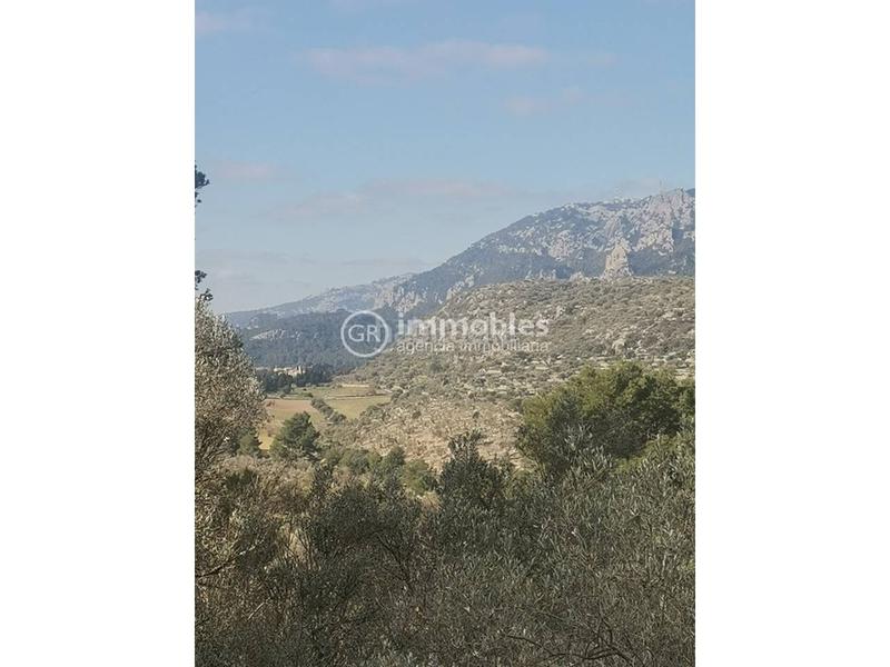 Foto b971998c-c782-4a70-82ce-52e5c7cb6f70. Masia amb calefacció a Bunyola