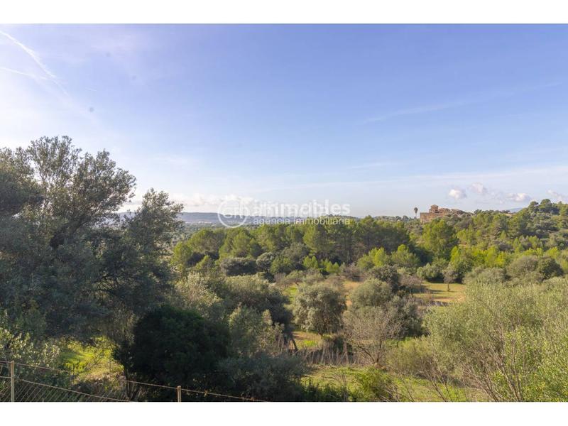 Foto 67bd7992-bf00-4e25-81db-372baad14eb4. Casale con parcheggio in Alaró