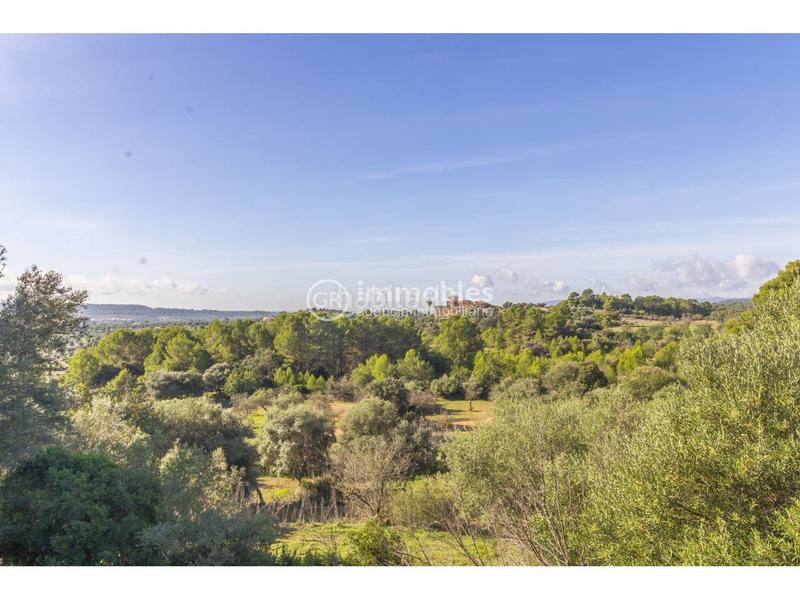 Foto d75a83d5-62cd-414b-94f5-34e73501c4a3. Casale con parcheggio in Alaró