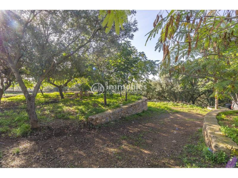 Foto f5c5b78a-fea6-4faf-9fd5-98298816e01b. Casale con parcheggio in Alaró