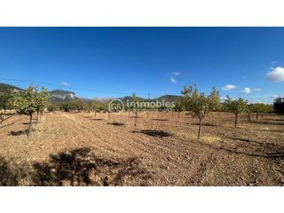 Finca rústica a Poligono 14