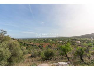 Maison à Lloseta. Finca rustica en lloseta con vistas panoramicas