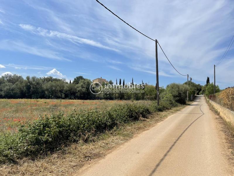 Foto 0431ed90-5a3e-4aa0-bf0c-5d3934b35c37. Propriété dans Sencelles