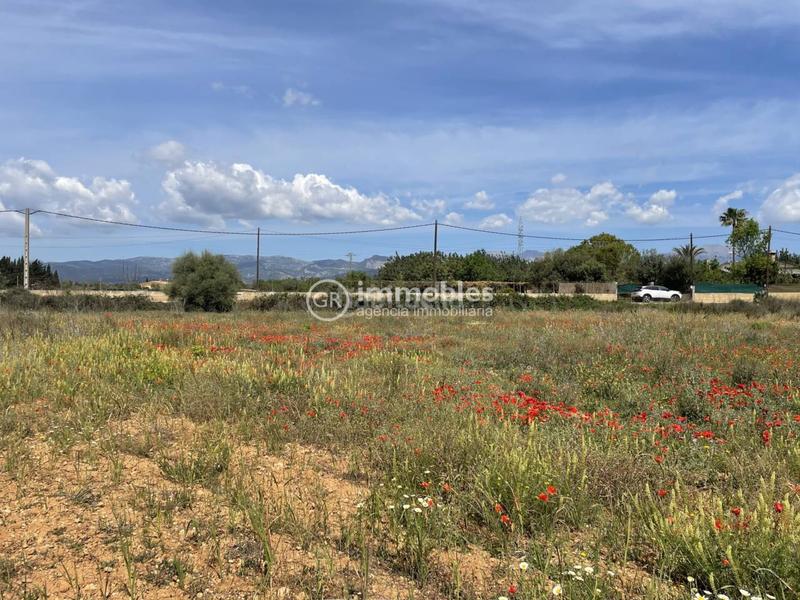 Foto 057fd7a4-74f8-4d91-a804-3054643d8be9. Propriété dans Sencelles
