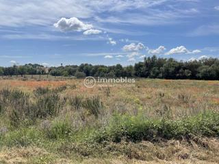 Rural plot in Sencelles. Finca rústica en sencelles