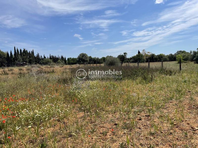Foto 39f48385-dfb7-4e70-b0c1-509b63415d15. Propriété dans Sencelles